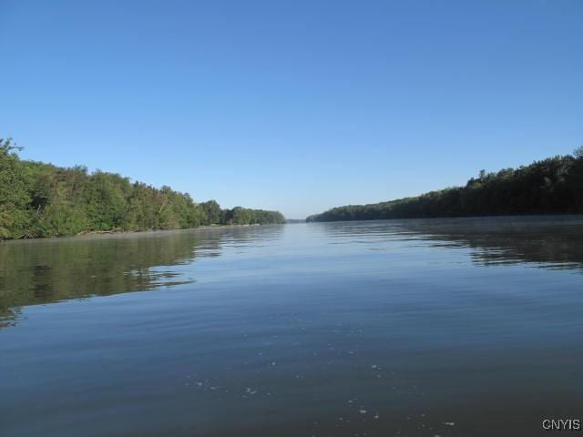 water view featuring a wooded view