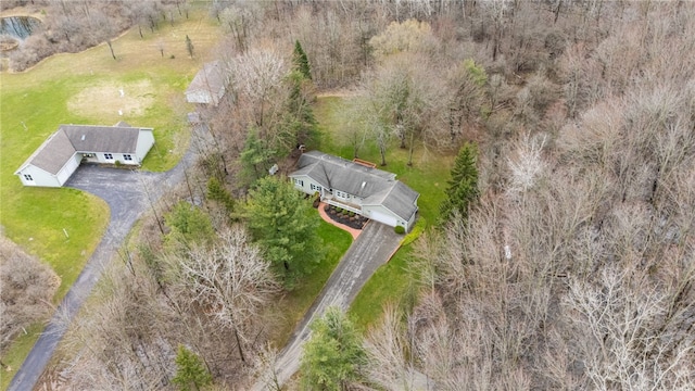 aerial view