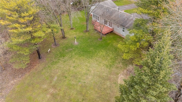 drone / aerial view