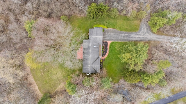 drone / aerial view