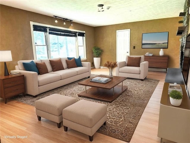 living area featuring track lighting and light wood finished floors