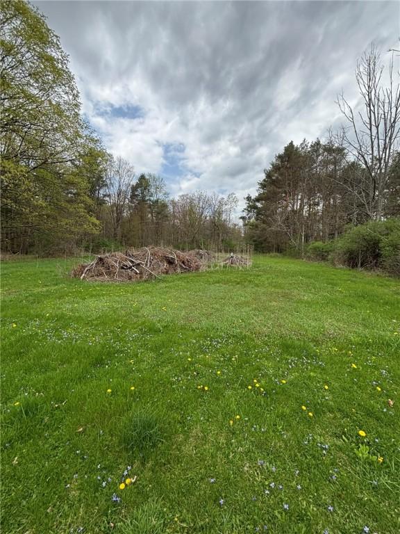 1464 Pennsylvania Ave, Southport, NY 14871 - photo 5