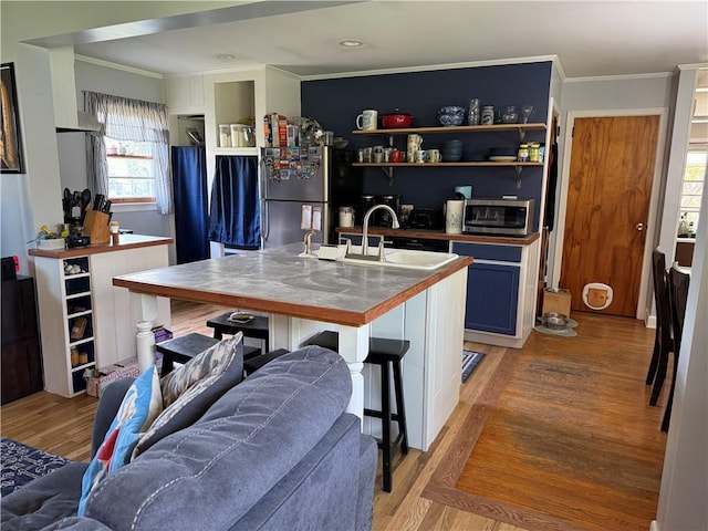 kitchen featuring crown molding, plenty of natural light, a sink, and light wood-style flooring