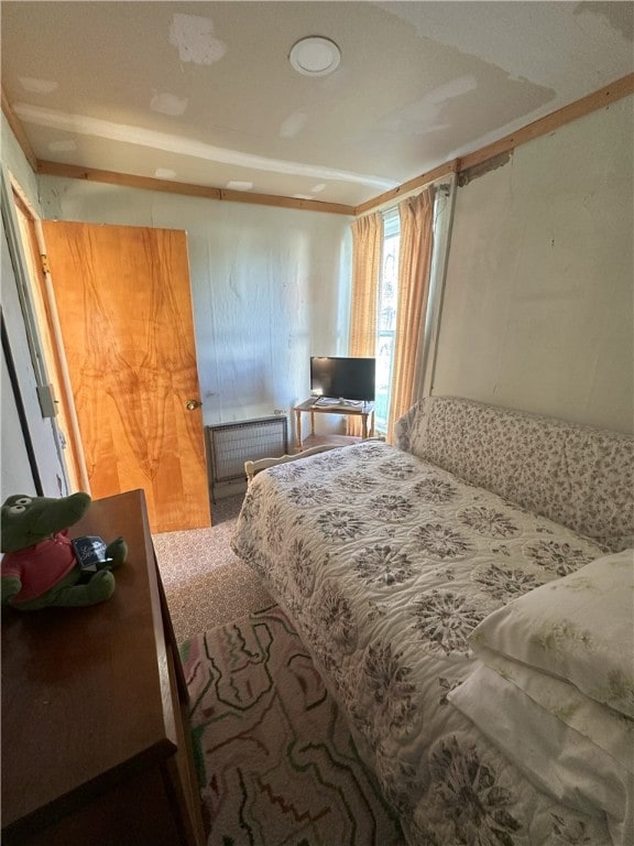 16 School St, Moravia, NY 13118 - bedroom featuring radiator