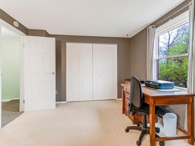 office with light carpet