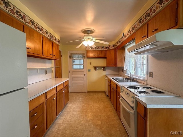 kitchen with a sink, white appliances, brown cabinetry, a ceiling fan, and under cabinet range hood
