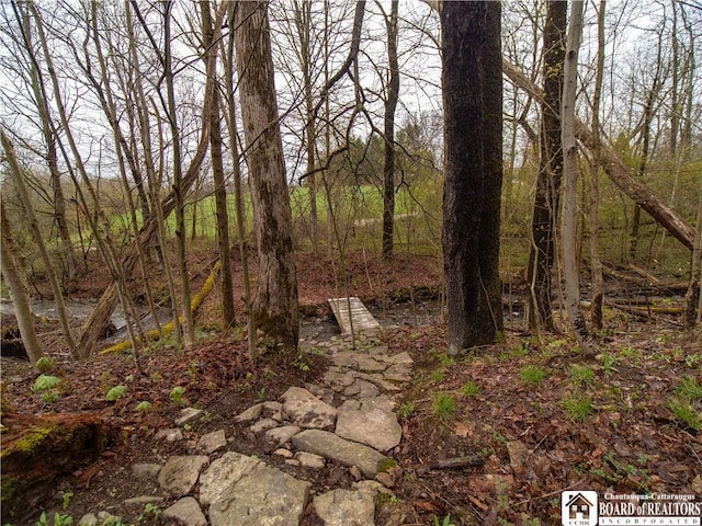 5585 Eke Rd, Harmony, NY 14710 - view of landscape