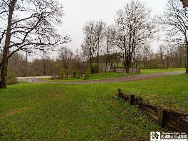 5585 Eke Rd, Harmony, NY 14710 - view of yard with dirt driveway and a forest view