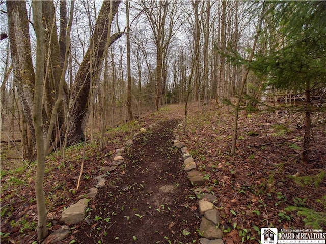5585 Eke Rd, Harmony, NY 14710 - view of local wilderness with a forest view