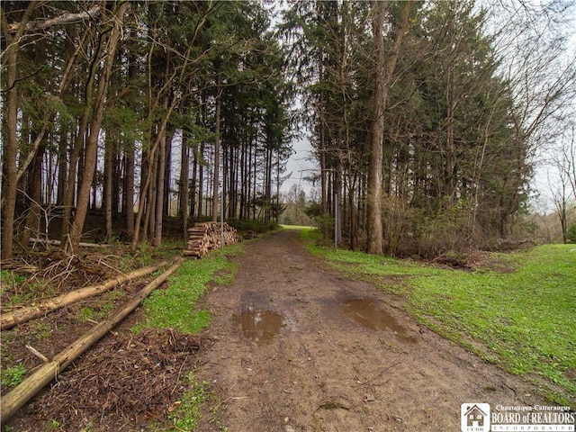 5585 Eke Rd, Harmony, NY 14710 - view of road