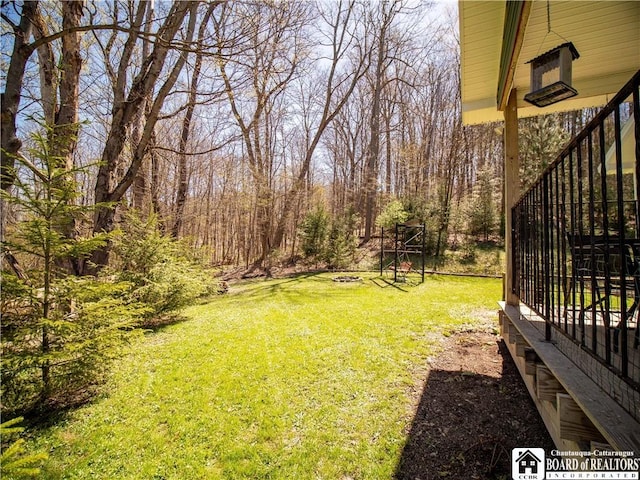 5585 Eke Rd, Harmony, NY 14710 - view of yard