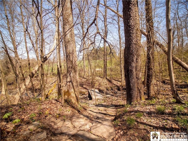 5585 Eke Rd, Harmony, NY 14710 - view of local wilderness