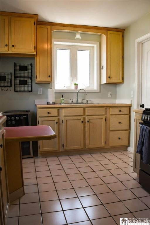 17 Howard St, Carroll, NY 14738 - kitchen featuring light countertops, light tile patterned floors, stove, and a sink