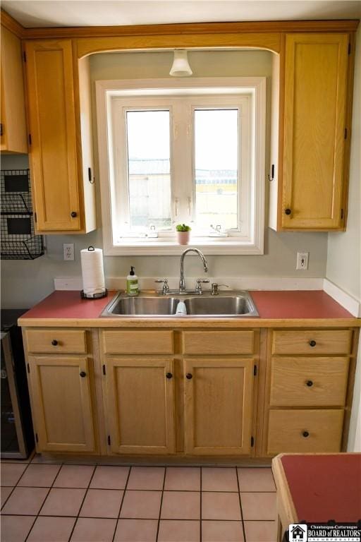 17 Howard St, Carroll, NY 14738 - kitchen featuring light countertops and a sink