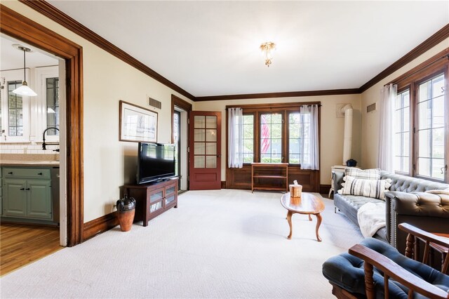 43 S Main St, Elba, NY 14058 - carpeted living area featuring healthy amount of natural light, a sink, baseboards, and crown molding