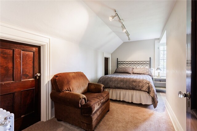 43 S Main St, Elba, NY 14058 - bedroom featuring rail lighting, light carpet, vaulted ceiling, and baseboards