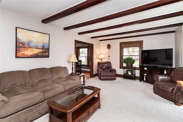carpeted living room with baseboards and beam ceiling