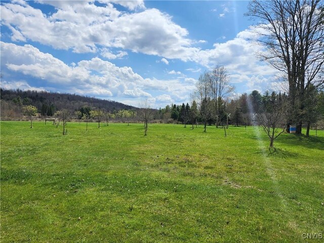 8968 Swamp Rd, Brookfield, NY 13355 - photo 3