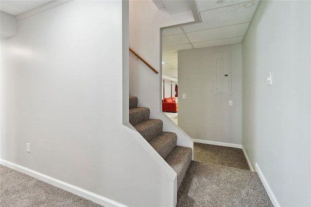 stairs featuring carpet floors, a paneled ceiling, baseboards, and electric panel