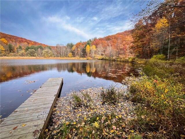 7667 Hickory Bottom Rd, Naples, NY 14512