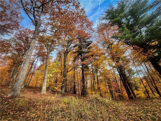 7667 Hickory Bottom Rd, Naples, NY 14512