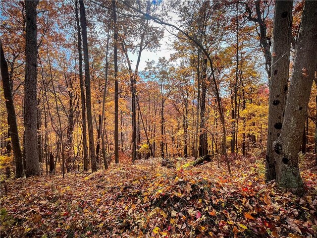 7667 Hickory Bottom Rd, Naples, NY 14512