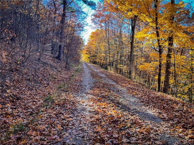 7667 Hickory Bottom Rd, Naples, NY 14512