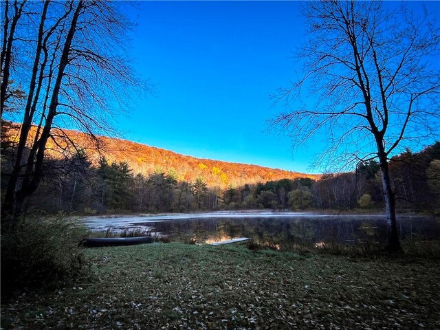 7667 Hickory Bottom Rd, Naples, NY 14512