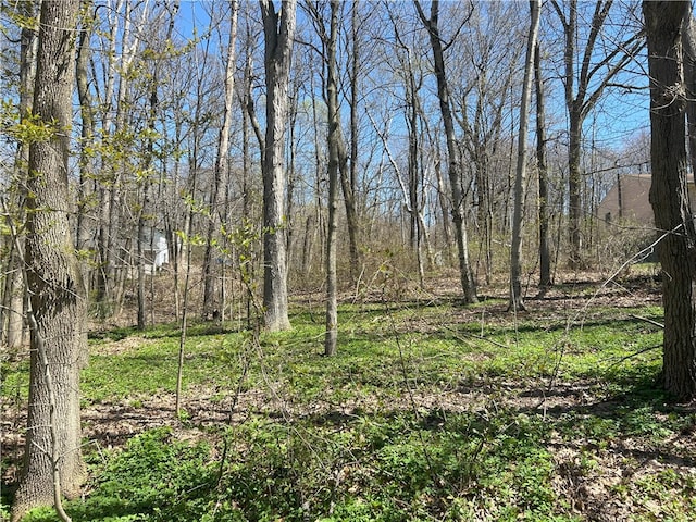 Janes Rd, Castile, NY 13901 - photo 3