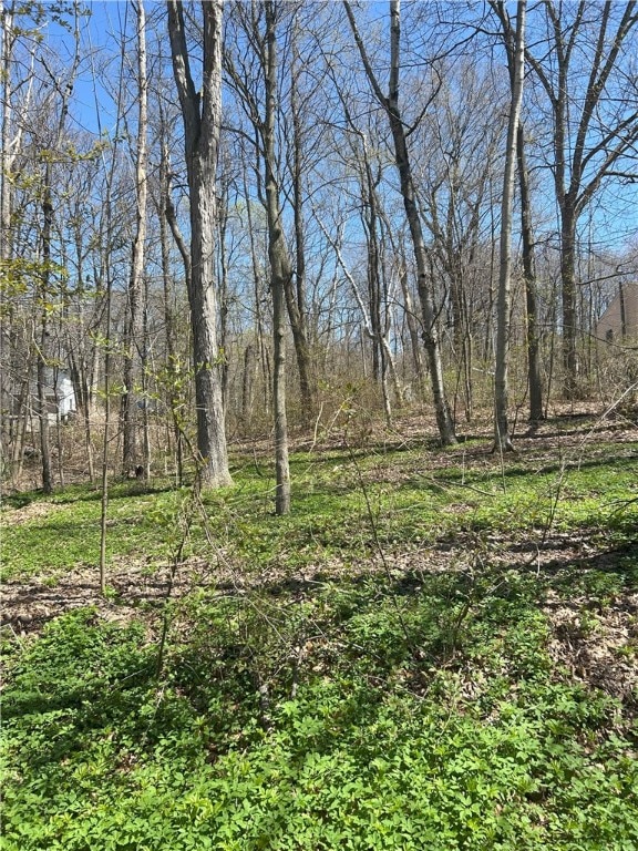 Janes Rd, Castile, NY 13901 - photo 4