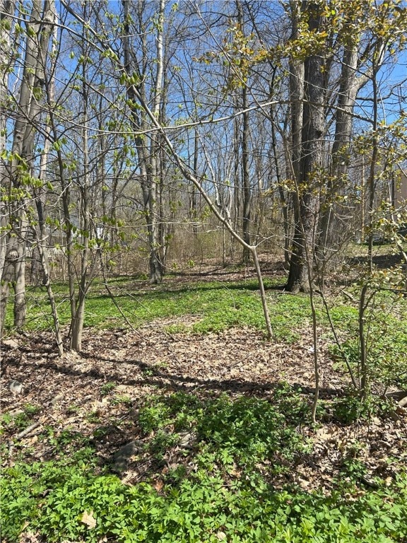 Janes Rd, Castile, NY 13901 - photo 5