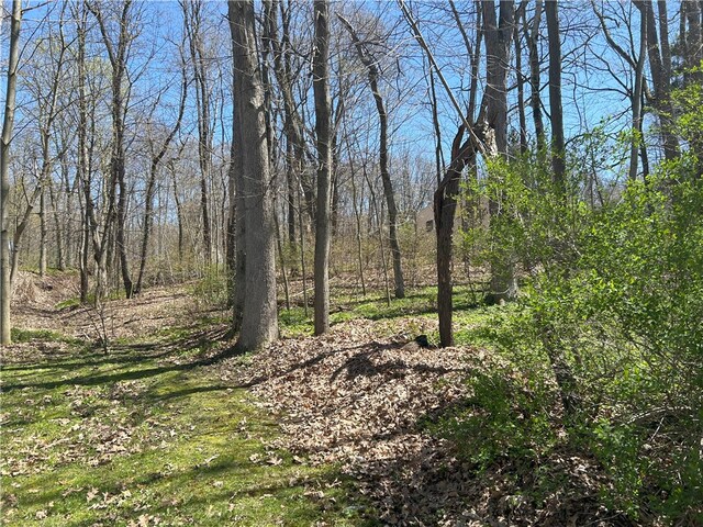 Janes Rd, Castile, NY 13901 - photo 6