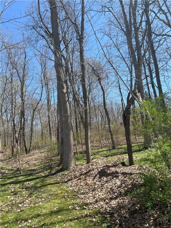Janes Rd, Castile, NY 13901 - photo 7