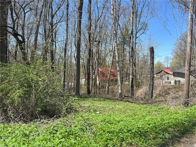 Janes Rd, Castile, NY 13901 - photo 8