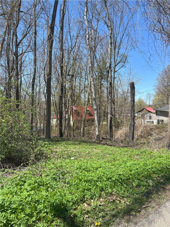 Janes Rd, Castile, NY 13901 - photo 9