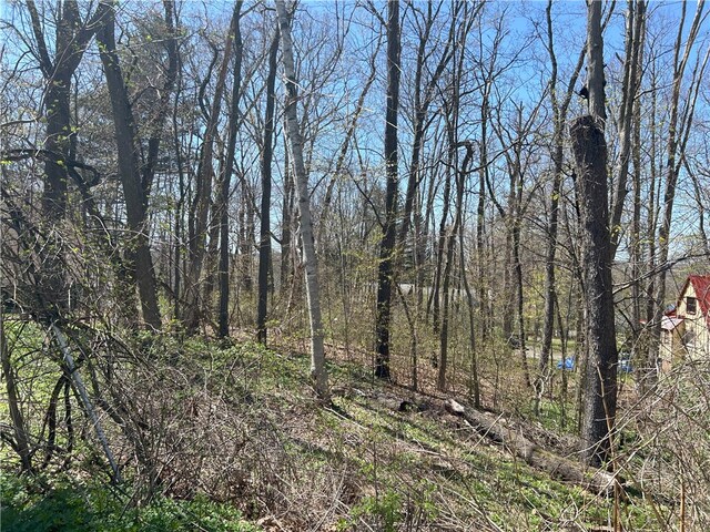 Janes Rd, Castile, NY 13901 - photo 10