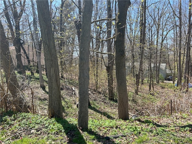 Janes Rd, Castile, NY 13901 - photo 11