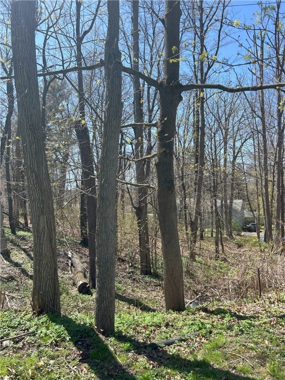 Janes Rd, Castile, NY 13901 - photo 12