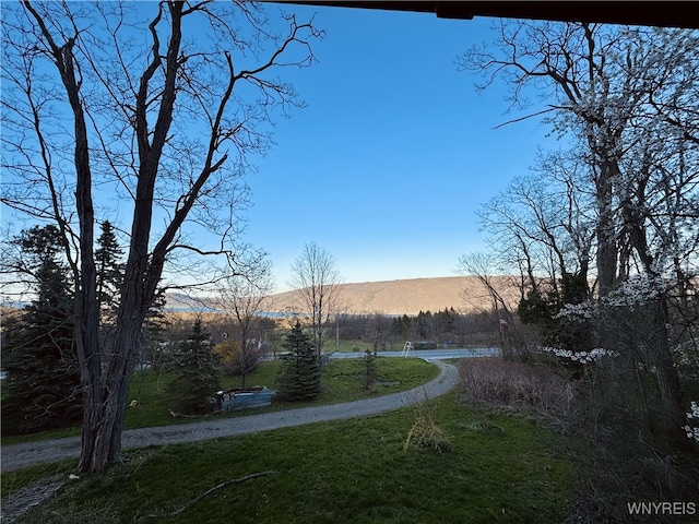 view of yard featuring a mountain view