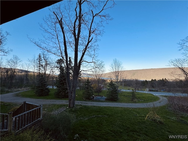 view of yard featuring a mountain view
