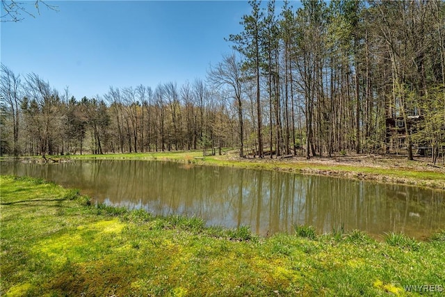 view of water feature featuring a forest view