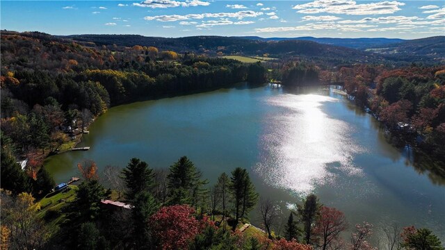 70 E Masonville Pond Rd, Masonville, NY 13839 - photo 32