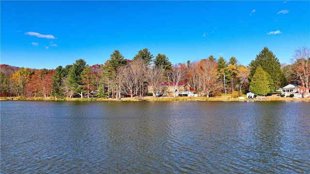 70 E Masonville Pond Rd, Masonville, NY 13839 - photo 31