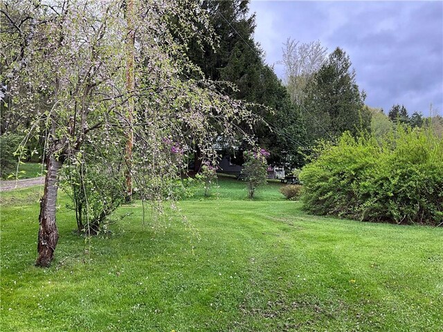 70 E Masonville Pond Rd, Masonville, NY 13839 - photo 7