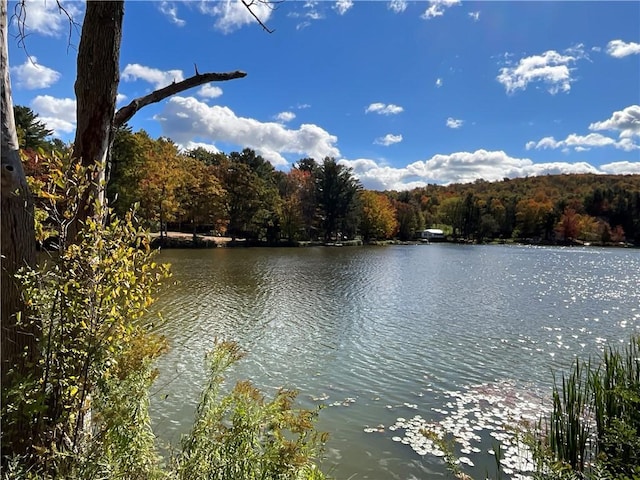 70 E Masonville Pond Rd, Masonville, NY 13839 - photo 36