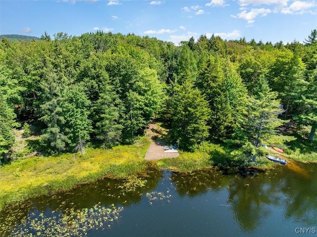 bird's eye view with a wooded view