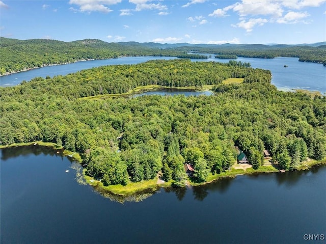 birds eye view of property featuring a water and mountain view and a wooded view