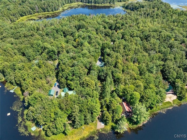 drone / aerial view featuring a water view and a forest view