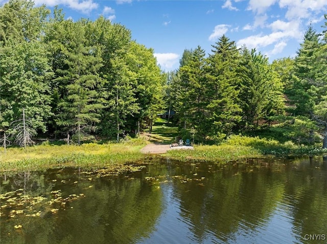 property view of water