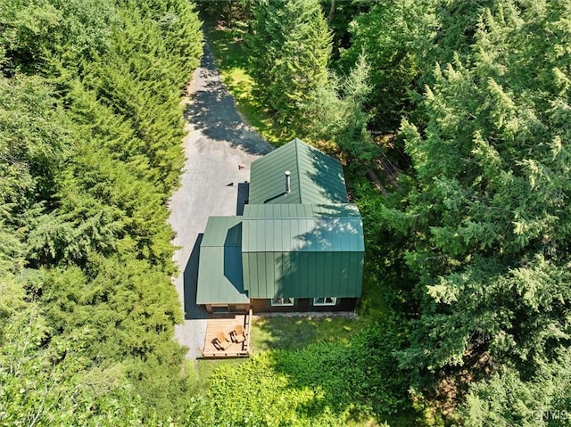 aerial view